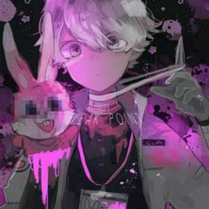 Meet your Posher, Chaotic